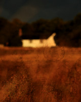A Cottage In The Meadow - 2