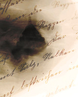Letter From The Beach
