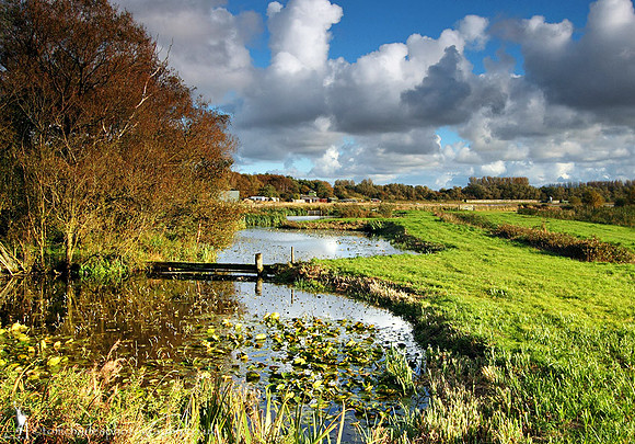 From Ron Barker Hide