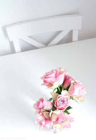 Shadow and Pink