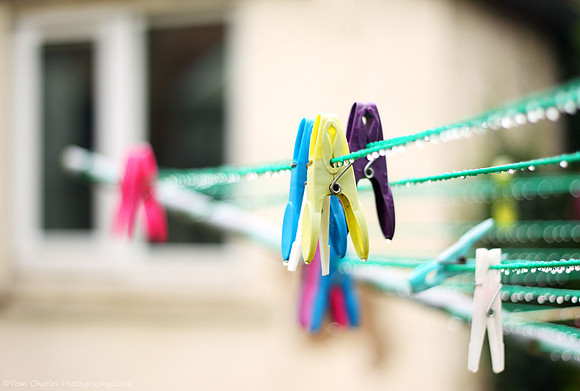 Pegs and Sheds