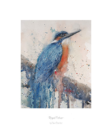 Royal Fisher