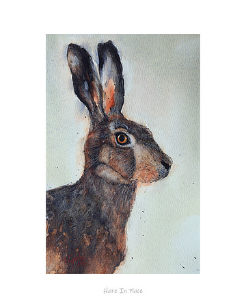 Hare In Place