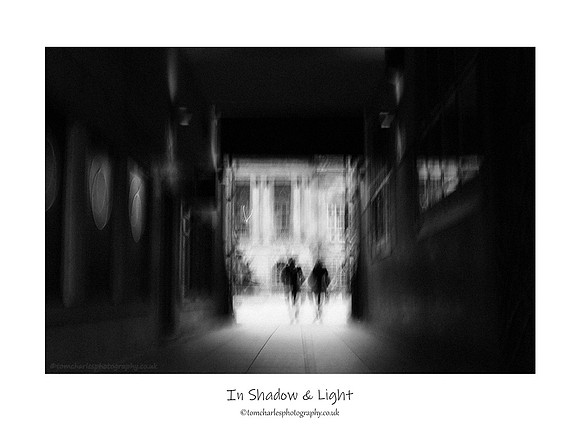 In Shadow & Light
