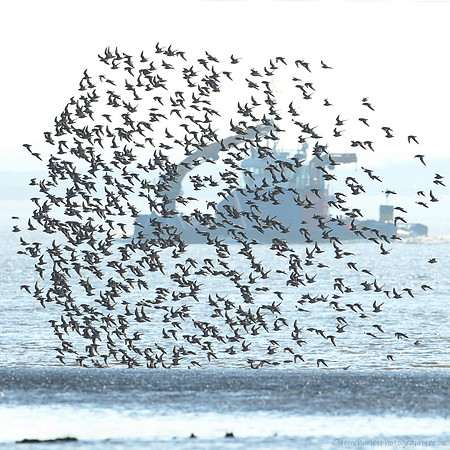 Knot Landing  - 3