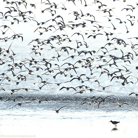 Knot Landing - 4