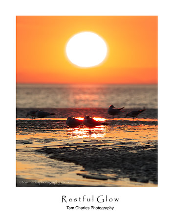 Restful Glow