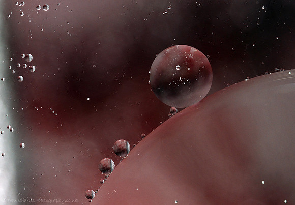 Crimson Moon