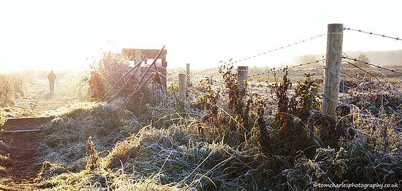 First Frosts