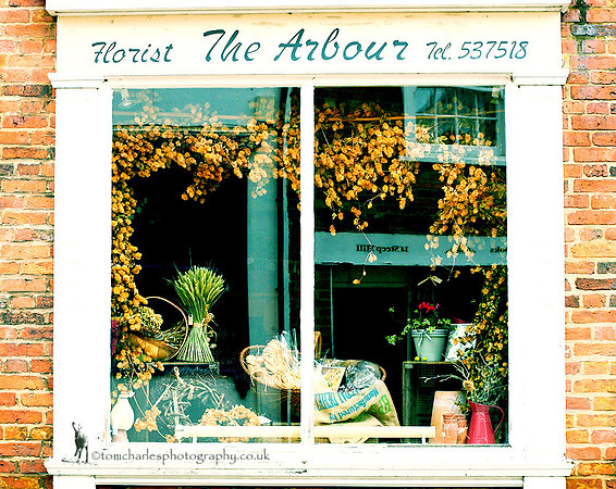 The Arbour