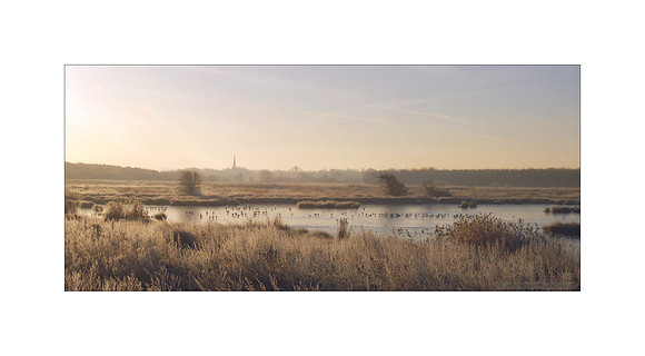 Lunt Scape