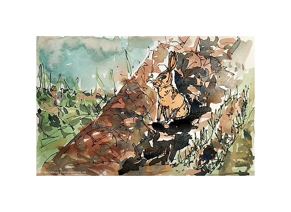 On The Edge - Watercolour and Ink