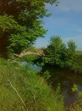Blue Sky and Bridges