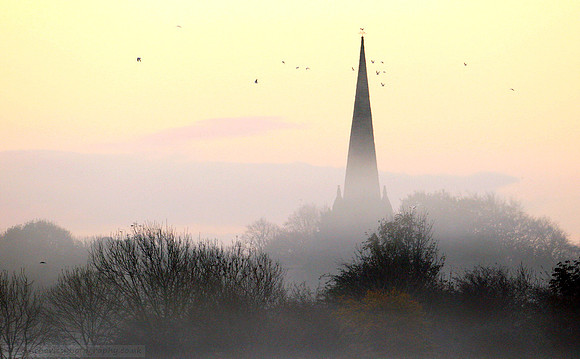 Autumn Morning Mist