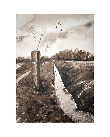 Along The Brook