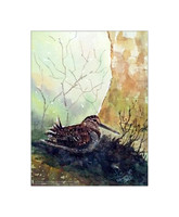Winter Woodcock