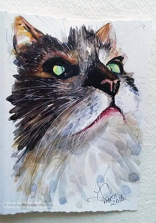 Oscar