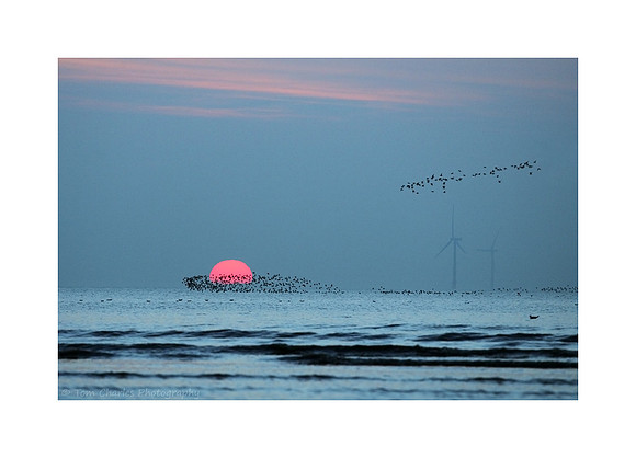 Passing Pink