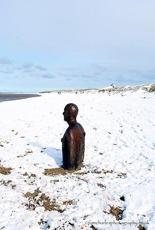 Frozen In Time