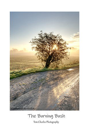 The Burning Bush