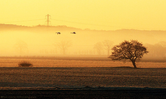 Out Of The Mist