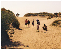 Sun, Sand & Shadow