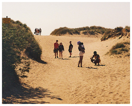 Sun, Sand & Shadow
