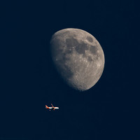 Easy Sun, Winter Moon