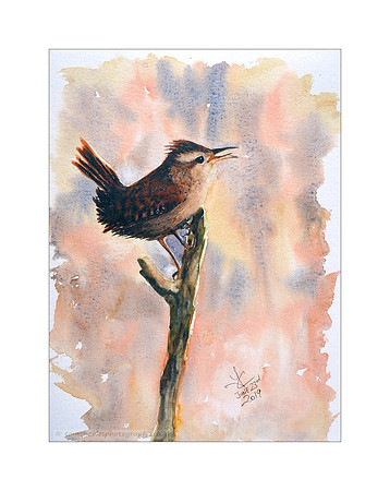Watercolour Wren