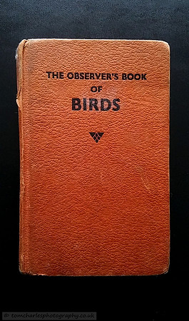 My Original, First Book About Birds