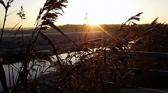 Morning Mist, Frost and Sunrise