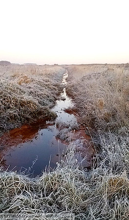 Through The Brook