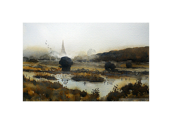 Morning Mist and Marsh