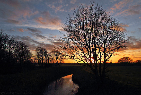 Farewell Sun