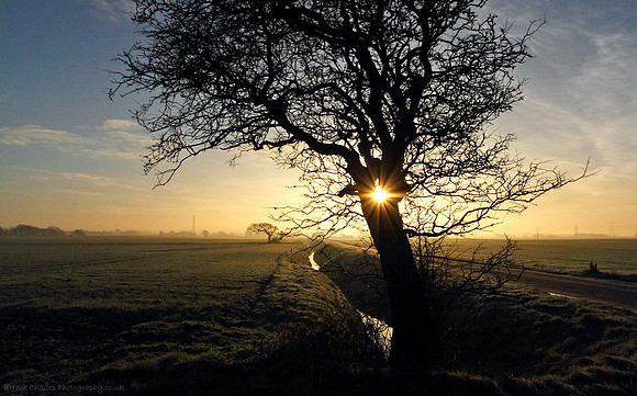 Take A Wander