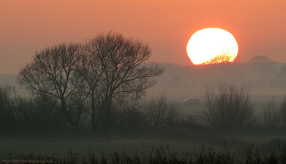 Winter Mist and Sunset