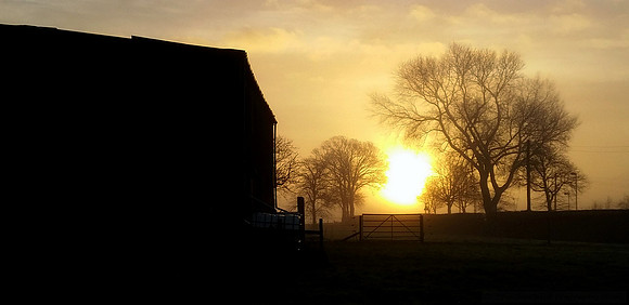 Farm Gate and Sunrise