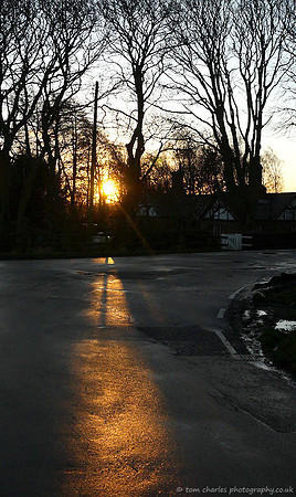Golden Shadow