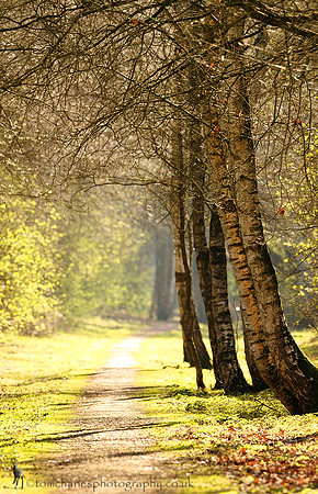 'Early Greens'