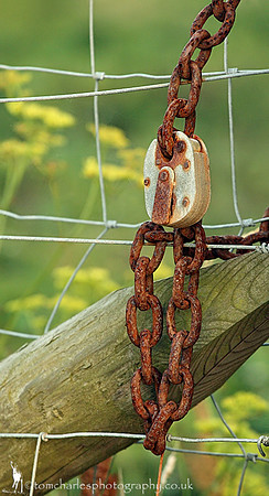 'Keeping Nature Out'