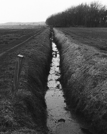 Brook in B&W