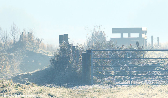 Chilly Viewing