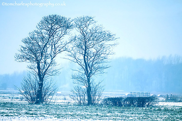 'Winter Huddle'