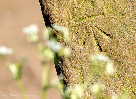 Old Style Ordnance Survey Cut Benchmark