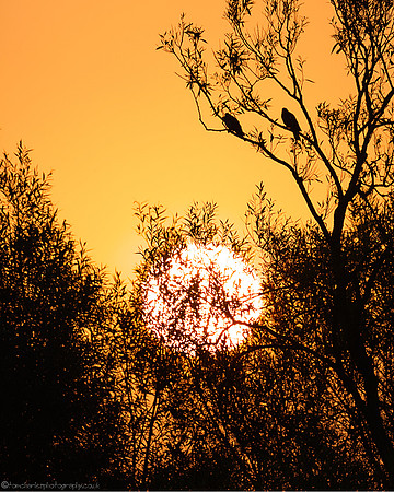 Greeting A New Day