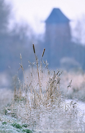'Winter Mill'